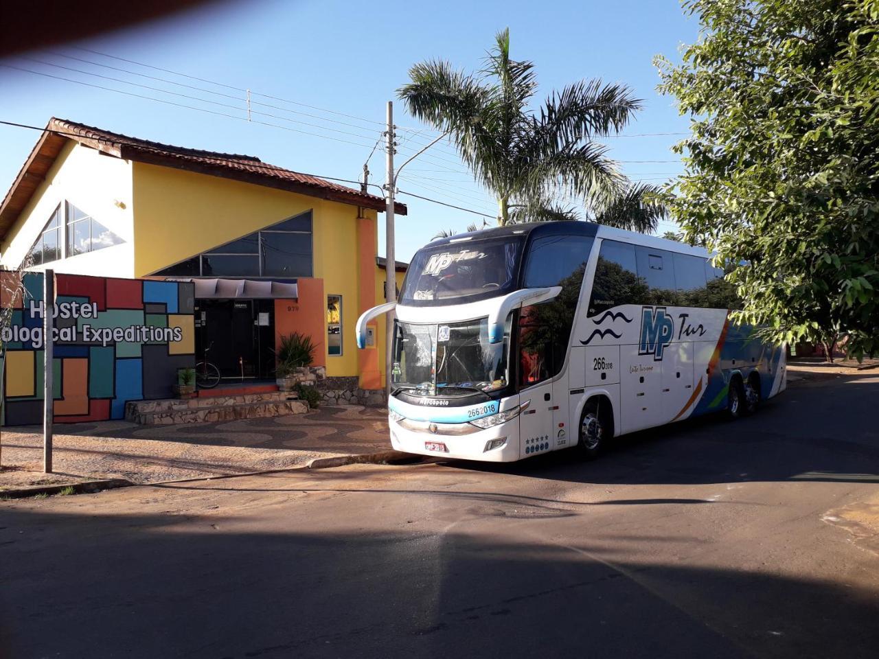 Hostel Ecological Expeditions โบนิโต ภายนอก รูปภาพ
